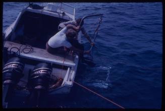 Crew lowering shark cage into water during filming of "Jaws"