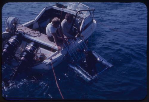 Diver in a shark cage secured to a boat by two other men