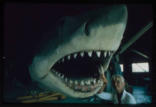 Valerie Taylor looking into the mouth of "Bruce" the great white shark model made for the filming of "Jaws"