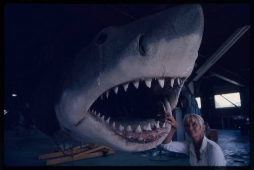 Valerie Taylor looking into the mouth of "Bruce" the great white shark model made for the filming of "Jaws"