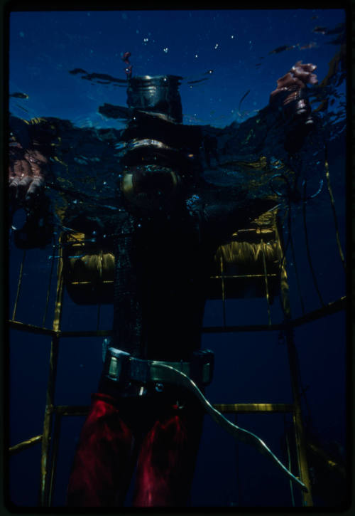 Mark Heighes underwater in a shark cage