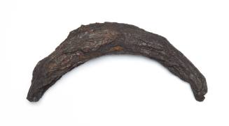 Remains of a ring from one of HMB ENDEAVOUR gun carriages
