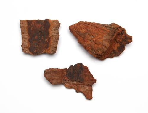 Wood fragments from one of the gun carriages on HMB ENDEAVOUR