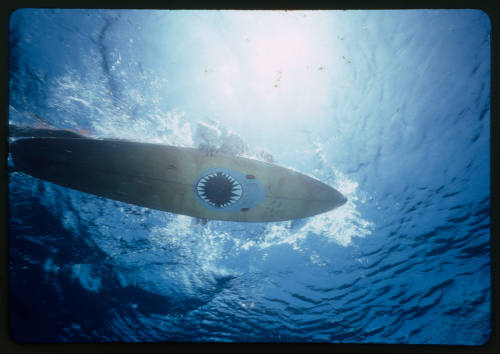 Underwater shot of a person on a shark surfboard