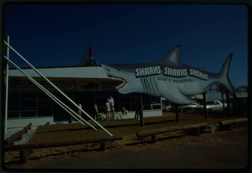 Shark shaped sign reading "SHARKS SHARKS SHARKS ALIVE & PRESERVED"