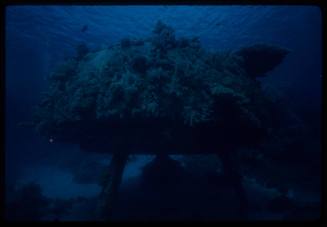 Jacques Cousteau's Continental Shelf Station Two