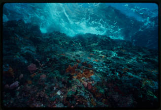 Underwater shot of wave crashing on a coral reef