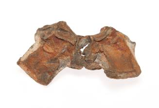 Artefact from the DUNBAR wreck site
