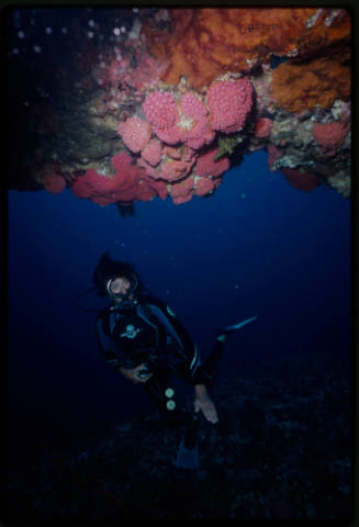 Hillary at the deep cave entrance of Valeries Rock