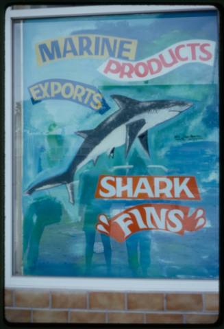 Poster of cartoon shark with title "Marine Products Exports" and "Shark Fins"