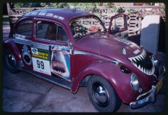 Sideview shot of maroon Volkswagen Beetle with shark-related stickers on it, including cartoon shark jaw on front hood