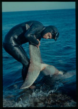 Shot of diver standing in ankle deep water holding the tail of a shark out of the water