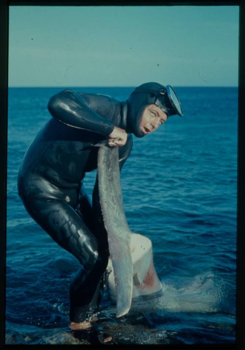 Shot of diver standing in ankle deep water holding the tail of a shark out of the water