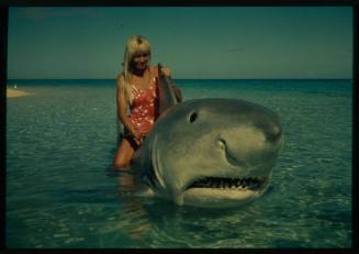 Shot of Valerie Taylor standing holding dorsal fin of large prop shark in shallow water