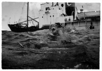 Shot at water surface of a freediver with large container ship in background. Images taken for documentary Blue Water, White Death.