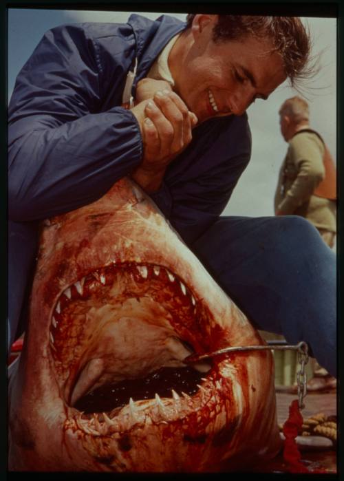 Shot of person kneeling over bloody caught shark holding open its mouth by the snout