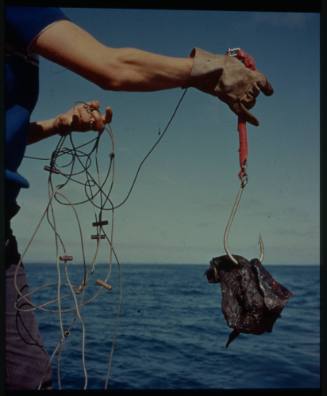 Shot of tangled fishing line and hook with flesh baited on with sea in background