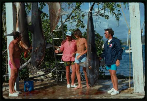 Four sharks hanging at a pier with four fishermen