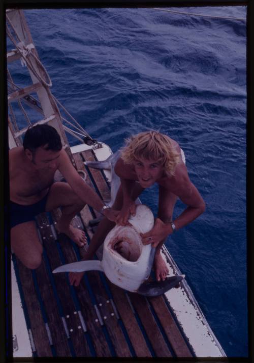 Person on deck of boat at sea holding a shark by the mouth out of water, Ron Taylor sitting next to shark also holding it's mouth