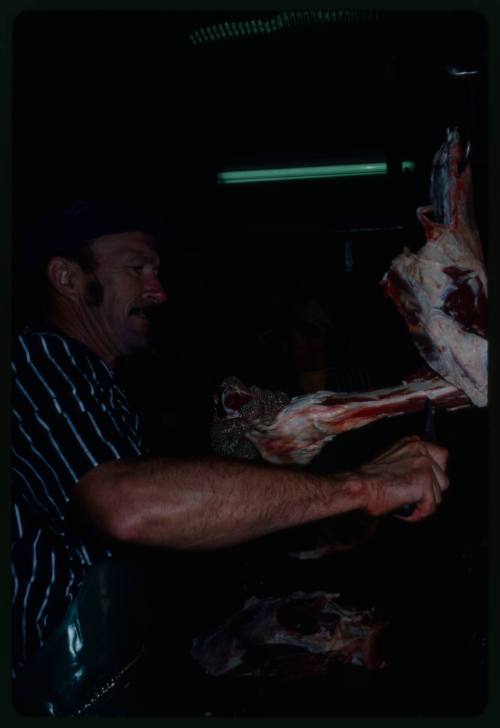 Shot of butcher boning meat using one mesh glove and knife