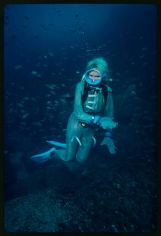Underwater shot at rocky seafloor of Valerie Taylor scubadiving in full mesh suit with large school of fish in background