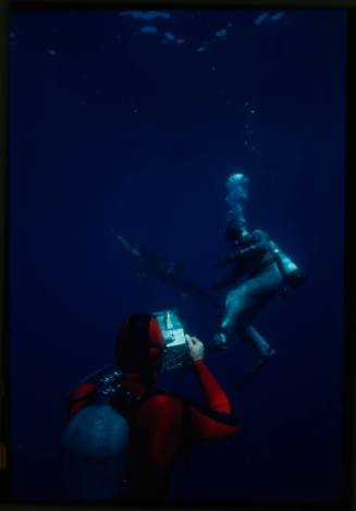 Underwater shot of Valerie Taylor and Jerimiah Sullivan scubadiving with Blue Shark in background