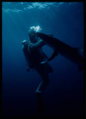Underwater shot of Jerimiah Sullivan scubadiving in full mesh suit being bitten on the forearm by a Blue Shark