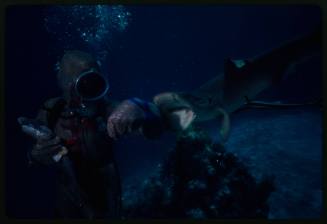 Underwater shot of Valerie Taylor in full mesh suit holding a fish with other arm out about to be bitten by Whitetip Reef shark