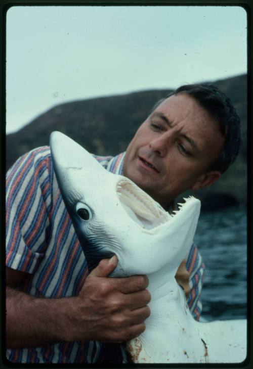 Ron Taylor holding a Blue Shark with its' mouth open