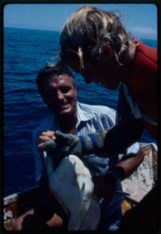 Testing the pressure of a shark bite while experimenting with the efficacy of the chainmail suit (mesh suit). The shark was then released. 