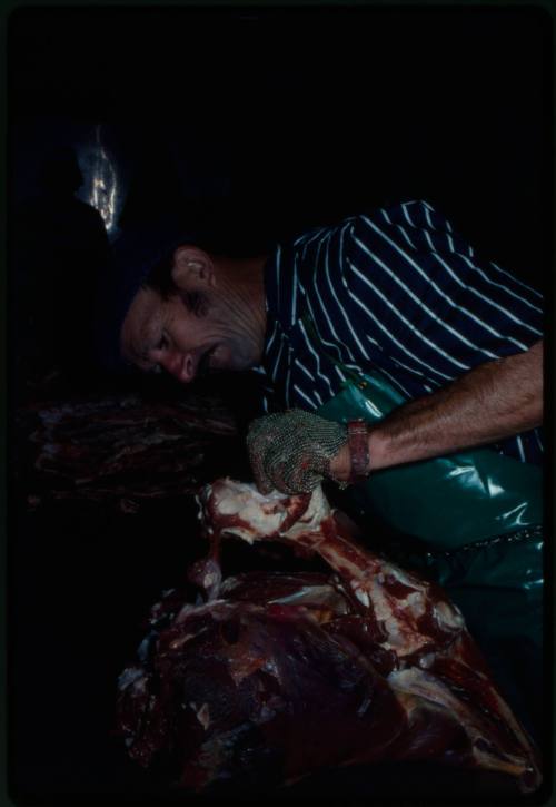 Butcher gutting fish using a mesh glove