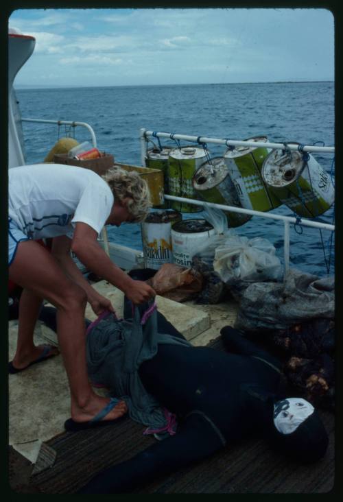 Mark Heighes preparing dummy for testing out the chainmail suit (mesh suit) in experiments with blue sharks and white sharks (great white sharks) before testing with a human 