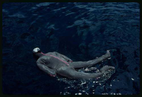 Testing out the chainmail suit (mesh suit) using a dummy in experiments with blue sharks and white sharks (great white sharks) before testing with a human 