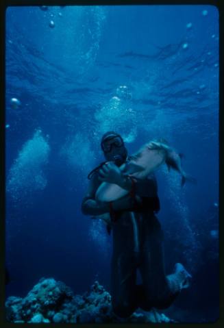 Underwater shot above reef bed of scuba diver Mike McDowell holding a Whitetip Reef Shark feeding on a fish