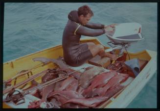 Shot of Ron Taylor on dinghy operating the engine, sitting with a catch of fish and spearfishing guns laid out on seats and deck