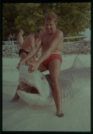 Shot of person standing over large Tiger Shark on beach, holding the snout open revealing teeth