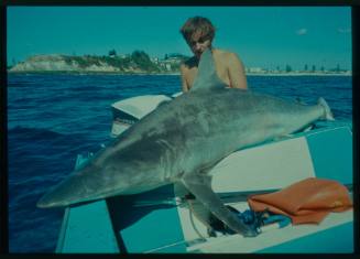 Shot of caught shark laying on top of back seats of boat with person standing behind shark