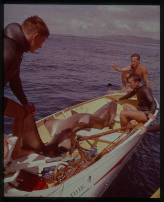 Shot of three people around a large caught shark on board a dinghy