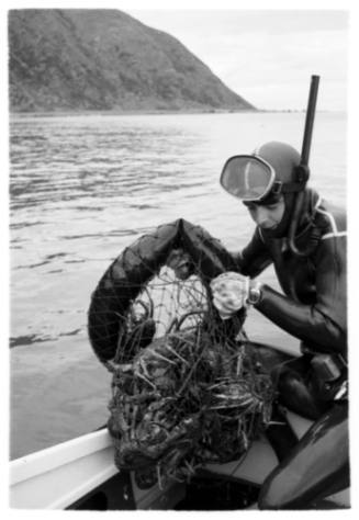 Shot of diver holding fishing net of catch on board a boat at sea