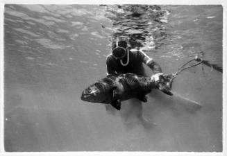 Underwater shot of freediver holding caught fish with spear rod floating adjacent