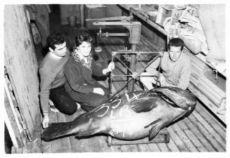 Topside shot of three people sitting on the deck of a ship with a caught Atlantic Goliath Grouper with "334 L.B 16/7/61" written on the body