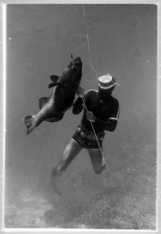 Underwater shot of freediver looking to the surface holding a rod with caught fish speared on it