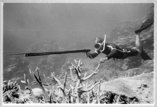 Underwater shot of freediver holding out a spearfishing rod swimming over a reefbed with Staghorn Coral