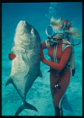 Underwater shot at sandy sea floor of Valerie Taylor freediving holding a large caught Giant Trevally