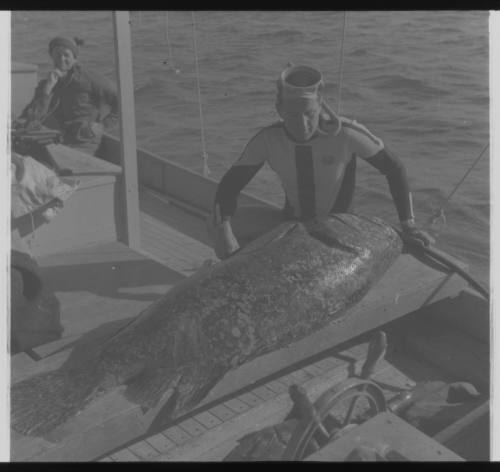 Shot of person moving a large caught fish on table on board a boat sea