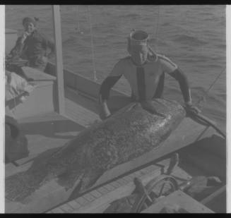 Shot of person moving a large caught fish on table on board a boat sea