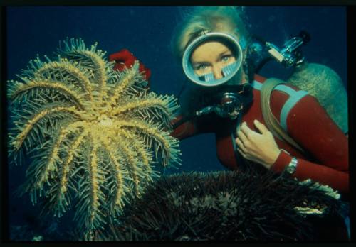 Valerie Taylor with a Crown of Thorns starfish