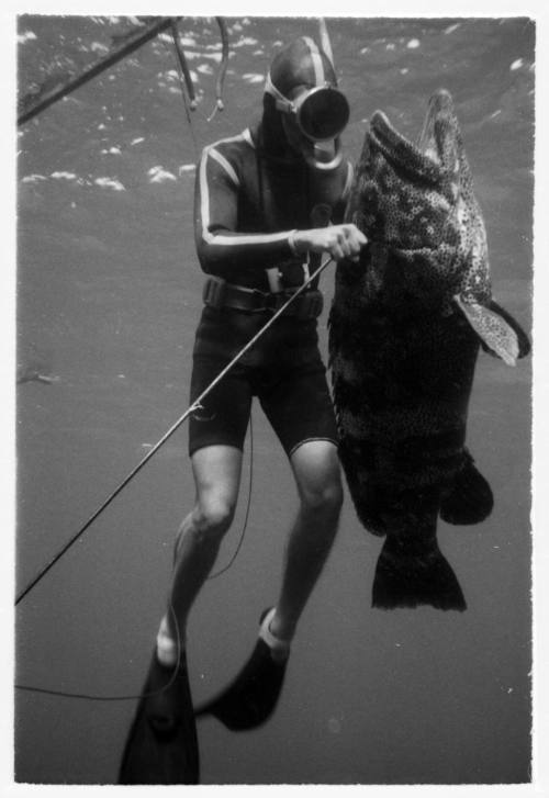 Black and white underwater shot of freediver holding an Atlantic Goliath Grouper caught with a spearfishing rod