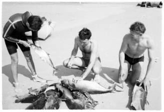 Black and white shot of three people around a haul of caught fish on the ground