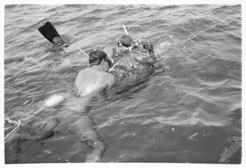 Black and white shot of water surface with two freedivers in water handling caught fish